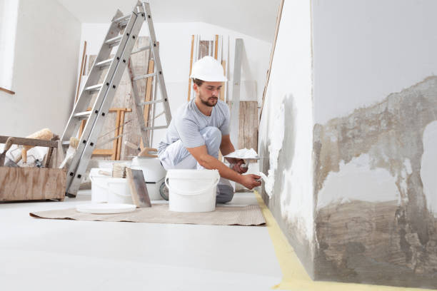 Best Repainting for Renovations  in Rheems, PA